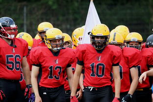 开云体育官方网站-中超球员年度射门类型结构分类，足球门将射门