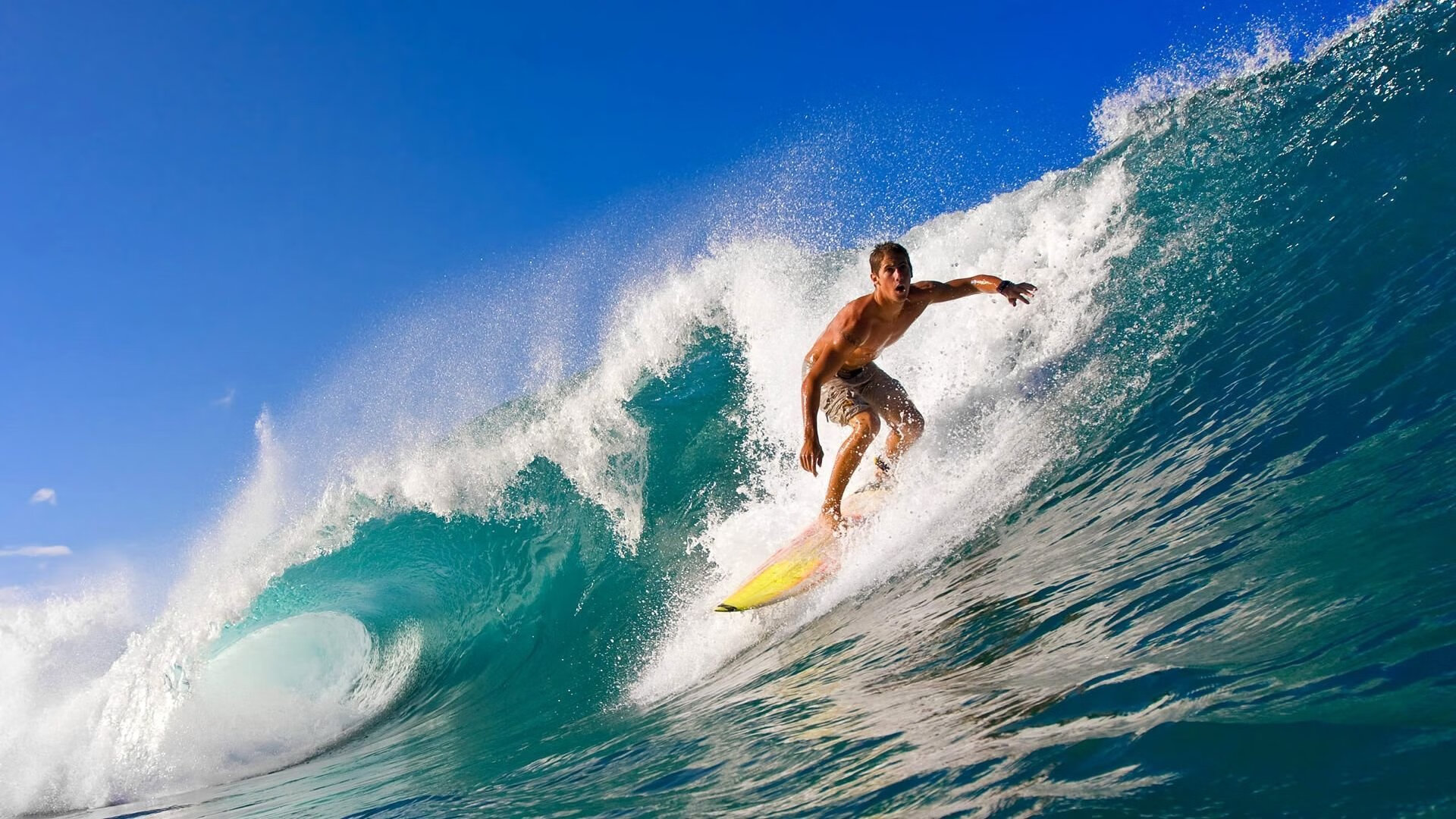 开云电子-体育明星社交平台影响力数据发布，搜索体育明星